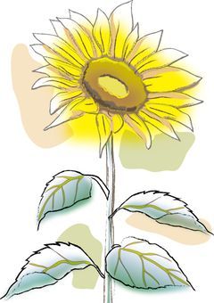 春の終わらせ方を、まだ知らない