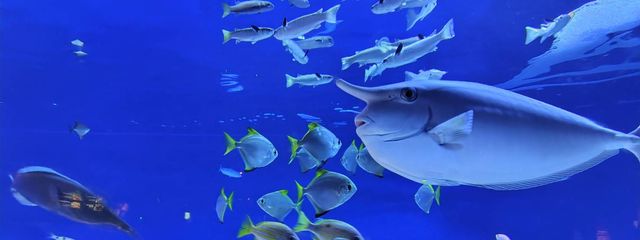 白桃うぬ　@更新頻度低&低浮上さんの壁紙画像