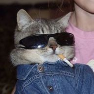 Ａalonさんのアイコン画像