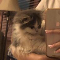 あま酒¨さんのアイコン画像