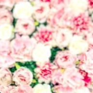 めめさく担さんのアイコン画像