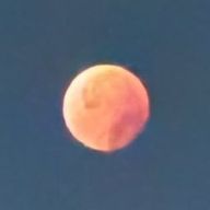 ･ิω･ิさんのアイコン画像