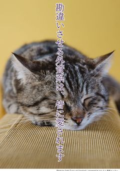 勘違いさせて、鈍感な外資系は皆に愛されます。