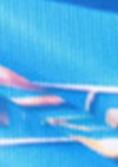 兄組が小さくなっちゃいました⁉︎