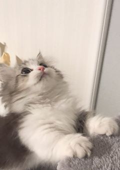 長尾くん総受け
