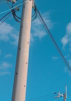 近状報告