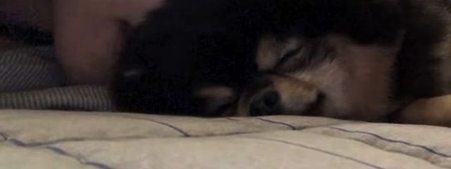 まぶさんの壁紙画像