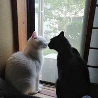 *841*さんのアイコン画像