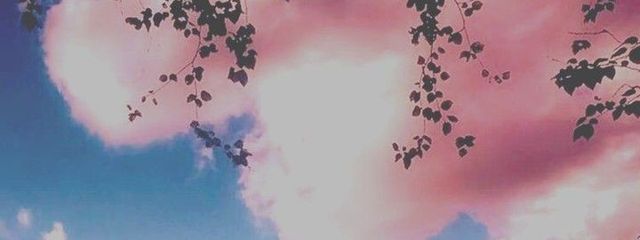きゃろっとぅさんの壁紙画像