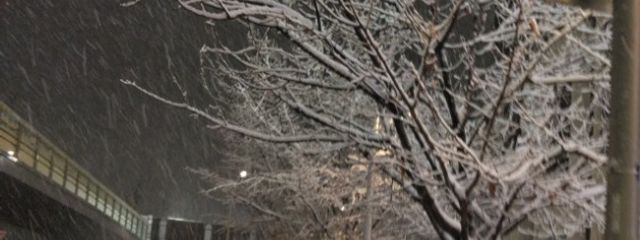 #うみさんの壁紙画像