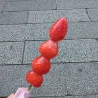 #うみさんのアイコン画像