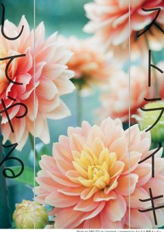 学業？授業？ストライキしてやるわアアアアアアアアアアアアアアアアアアアアアアアアアアアアアアアアアアアアアア！！