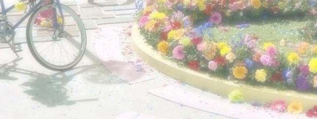 かずーち🕊‪🍀さんの壁紙画像