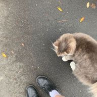 ®️さんのアイコン画像