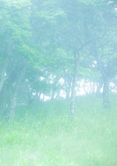 ちょっと複雑なお話