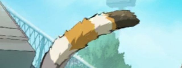 ショコラさんの壁紙画像