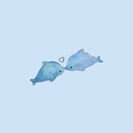 🐬🐋🐬入鹿🐬🐋🐬さんのアイコン画像