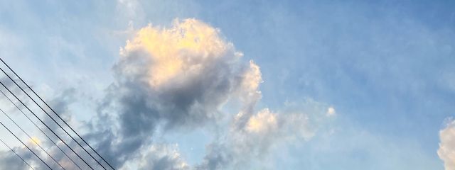 蓮月音羽さんの壁紙画像