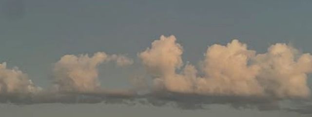 そなさんの壁紙画像