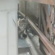 kahoさんのアイコン画像