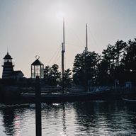 ここなつさんのアイコン画像