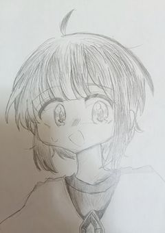 一枚絵