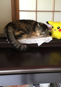 最近あったことをかくだけ