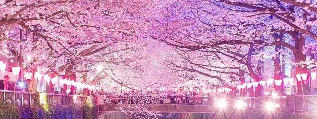 moko@【S💜MAiD】さんの壁紙画像