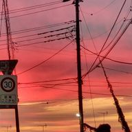 堕さんのアイコン画像