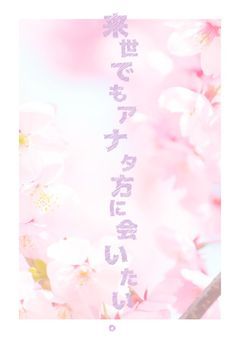 【 🩷 】来世でもアナタ方に会いたい 。