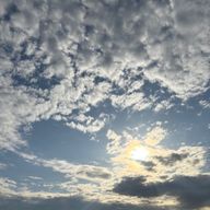 すじぇさんのアイコン画像