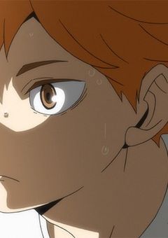 日向翔陽には妹がいる