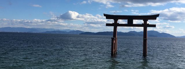 らんちゅうさんの壁紙画像