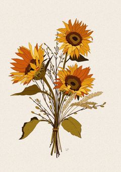 # フ ァ ン ク ラ ブ