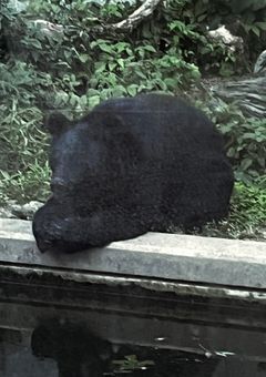 ミリしらオススメ作品紹介