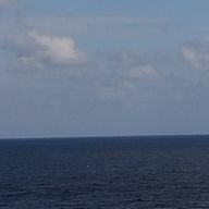 かいさんのアイコン画像