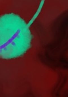 不登校あるある提供所