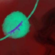 コルット@低浮上失礼@🥂🍂さんのアイコン画像