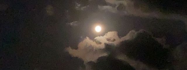 R i n ＿.さんの壁紙画像