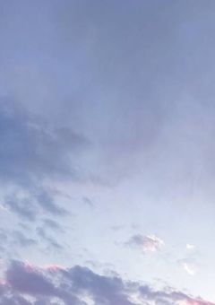 ãã¯ãã¿ ãã©ãã« ãããã³ã°