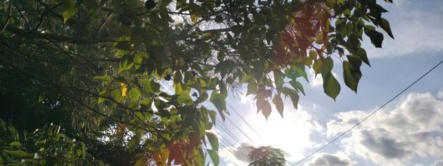 ＠＠　T e i l l　　.【  活動休止中  】さんの壁紙画像