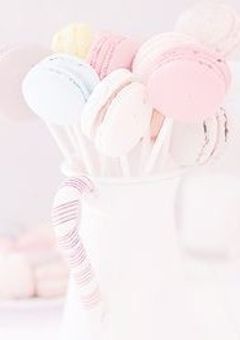 凜 音   𝑺 𝒕 𝒖 𝒅 𝒊 𝒐