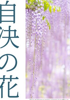 自 決 の 花 .