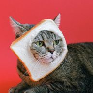 RRRさんのアイコン画像