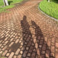 粒あん派のよもぎさんのアイコン画像