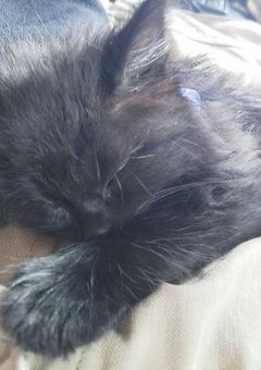 新しいイラスト&ゲーム雑談場所