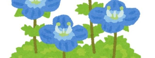 ひなさんの壁紙画像