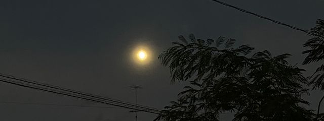 .⋆𝜗𝜚꒰ 𝚔𝚘𝚝𝚊𝚝𝚜𝚞 ꒱.⋆𝜗𝜚さんの壁紙画像