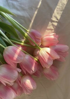 今日好きになりました〜韓国編〜