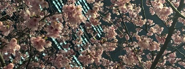 ykさんの壁紙画像